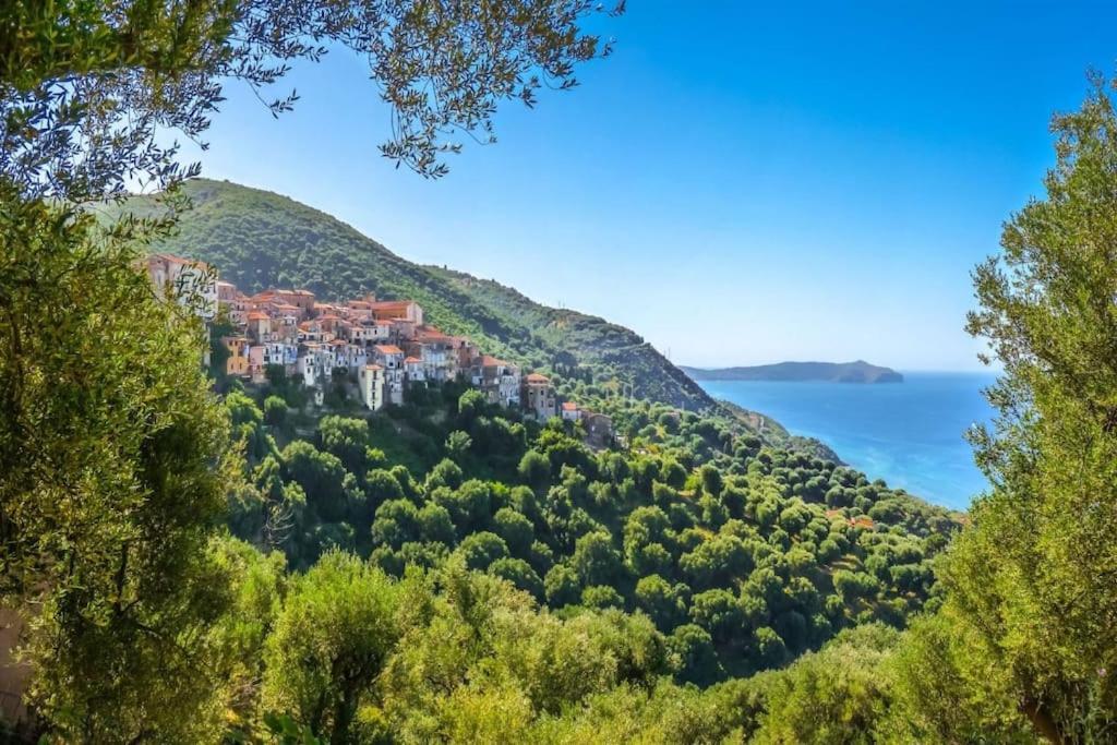 La Villa Di Nonna Angela Pisciotta Exteriér fotografie