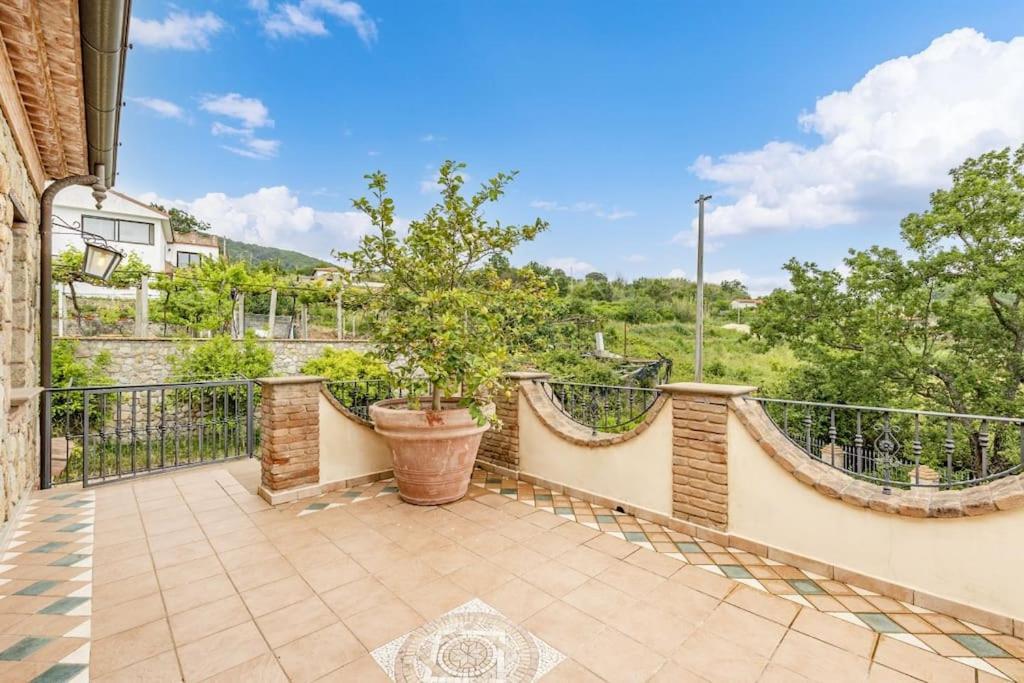 La Villa Di Nonna Angela Pisciotta Exteriér fotografie